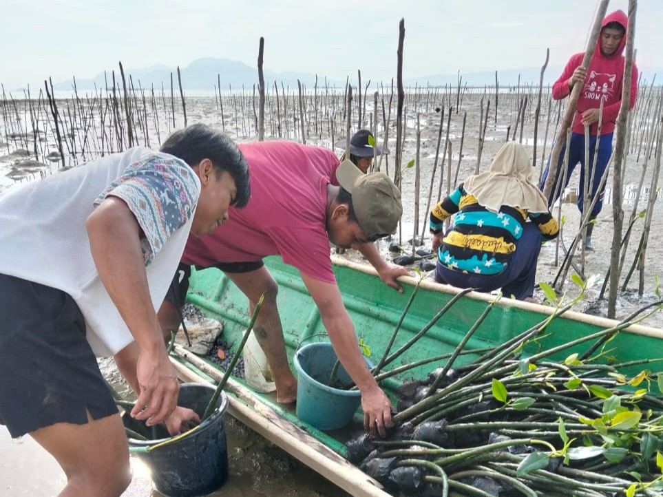 Kegiatan penanaman mangrove di pesisir Desa Puasana